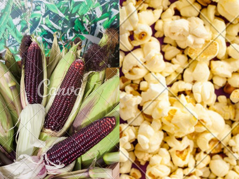 The Exotic Purple Popcorn Kernels: Health Superstar?